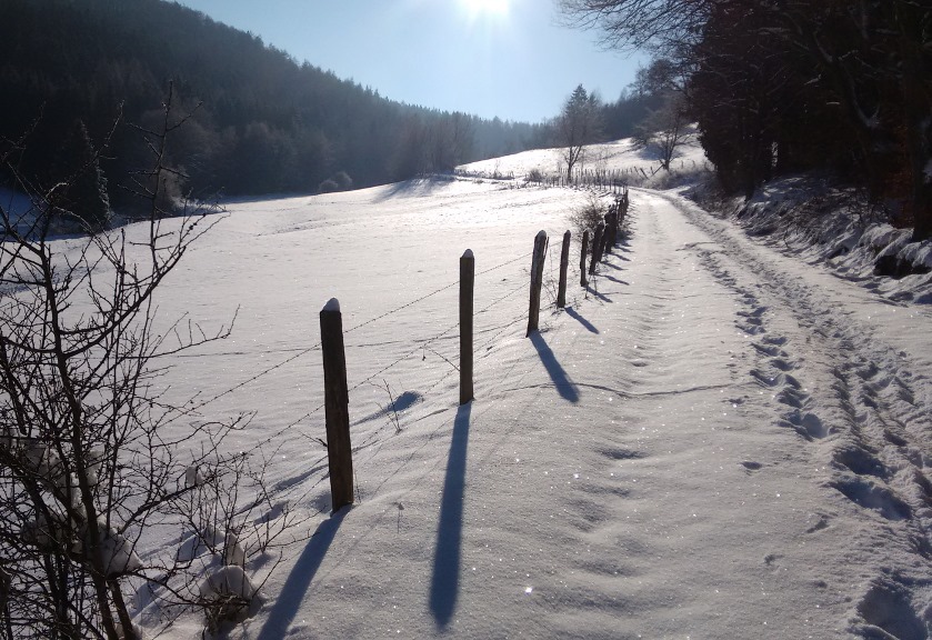Wandelen in de winter Generic placeholder image